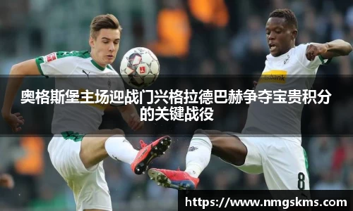 奥格斯堡主场迎战门兴格拉德巴赫争夺宝贵积分的关键战役